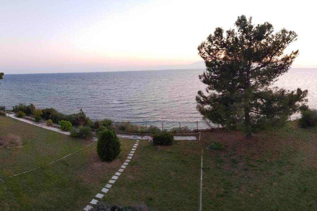 Sunshine House Offering Spectacular Views To Olymp A Apartment Nea Iraklia Luaran gambar