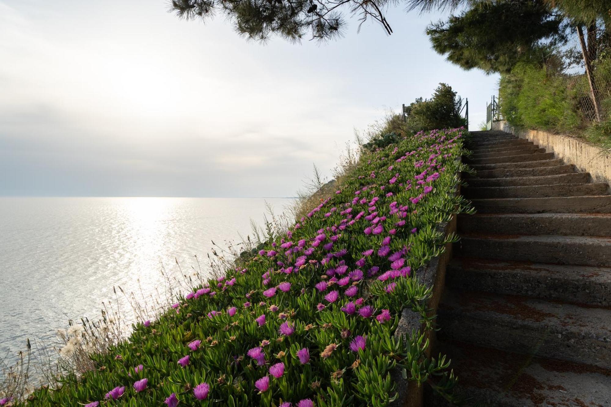 Sunshine House Offering Spectacular Views To Olymp A Apartment Nea Iraklia Luaran gambar